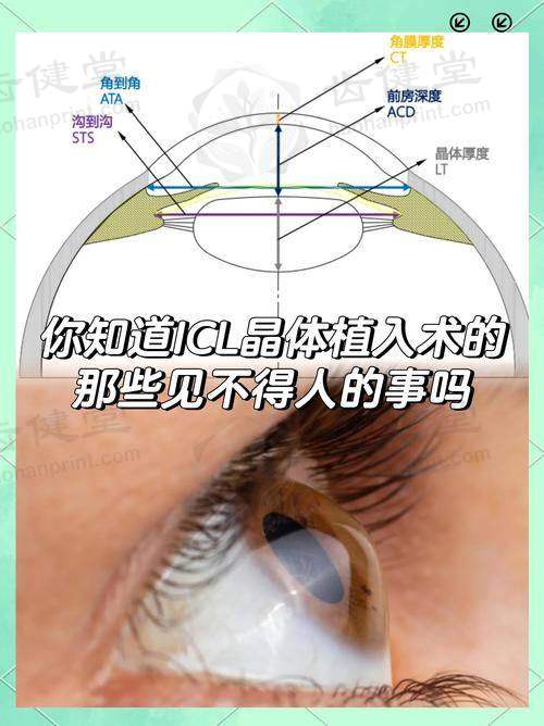 特色科室与项目