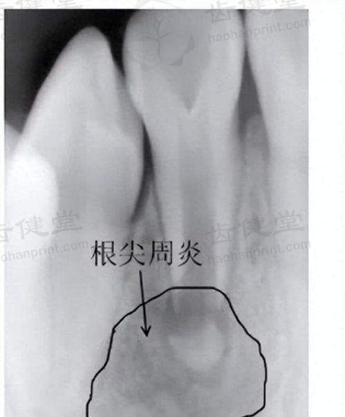 诊疗特色总结