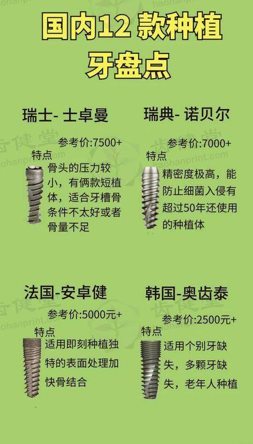 擅长项目详解