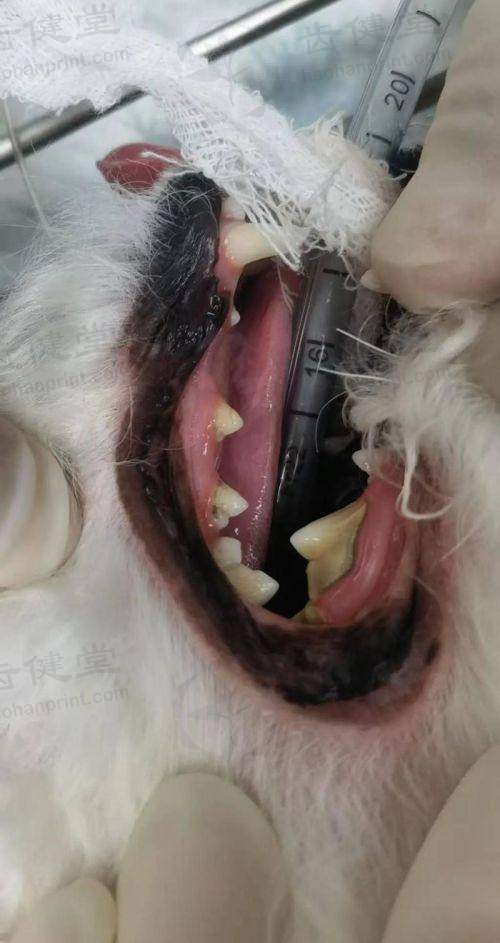 患者真实评价