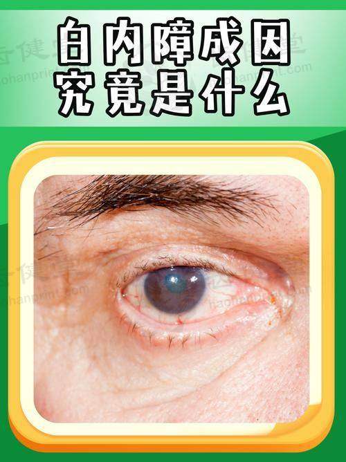诊疗特色总结