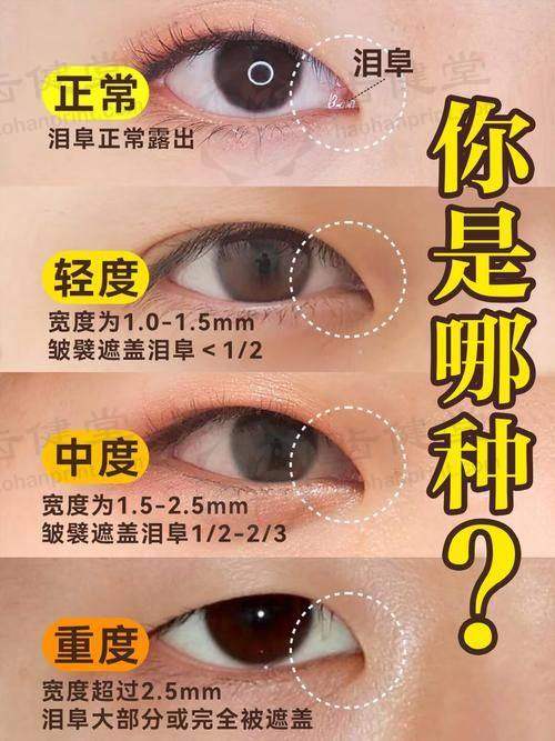 医生团队介绍