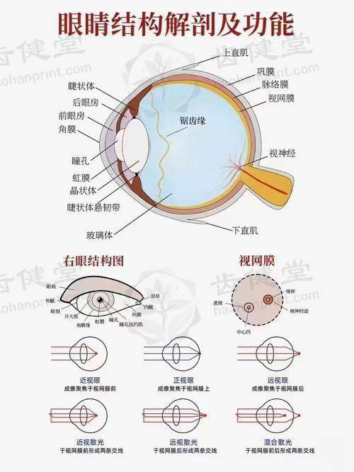 收费价格