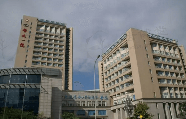 大连医 科 大学附属第一医院乘车路线：